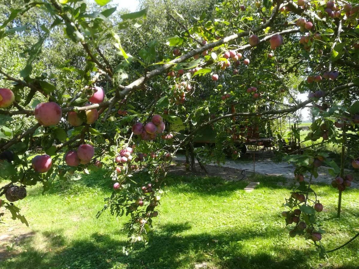 Vegawagen Psyche, Een Sprookje In Coevorden Kültér fotó