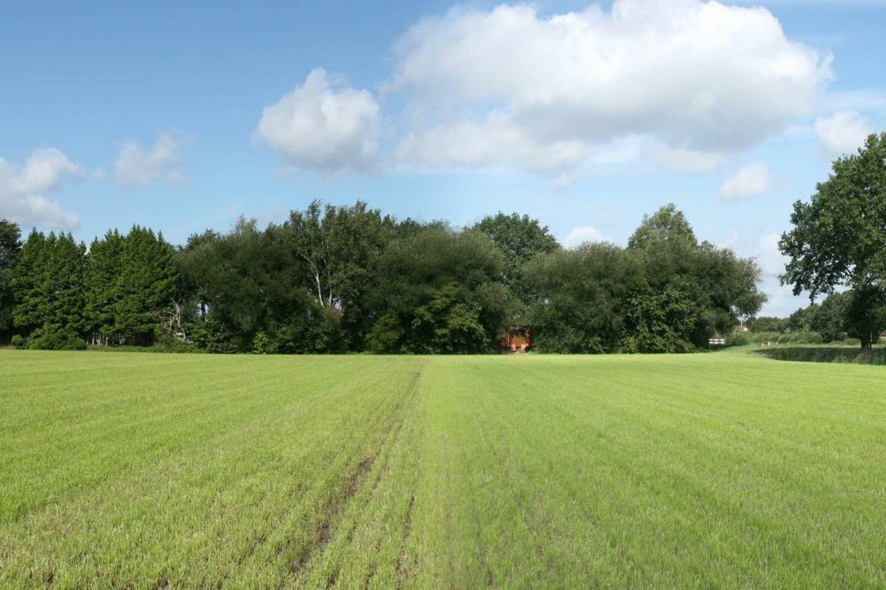 Vegawagen Psyche, Een Sprookje In Coevorden Kültér fotó