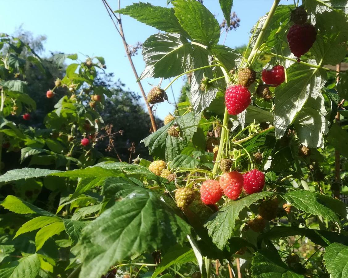 Vegawagen Psyche, Een Sprookje In Coevorden Kültér fotó