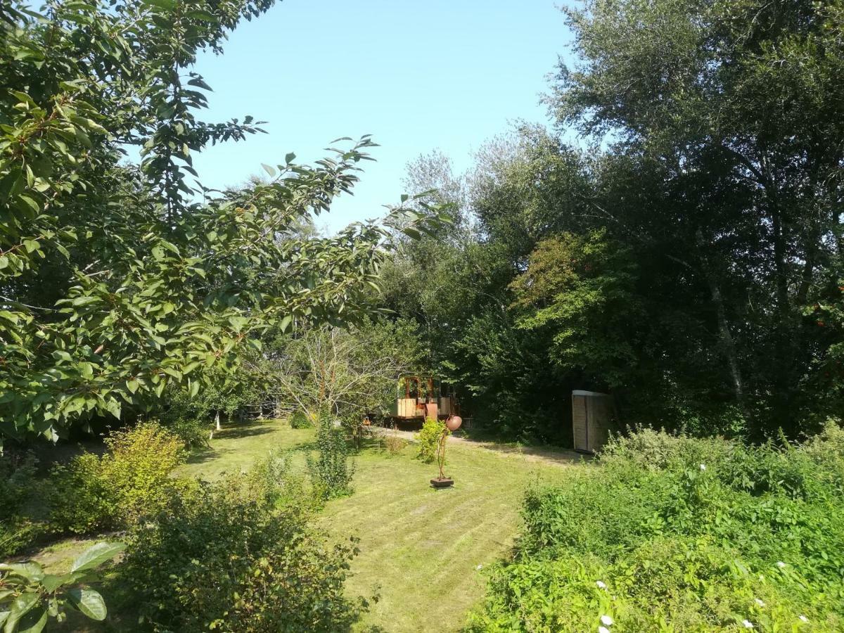 Vegawagen Psyche, Een Sprookje In Coevorden Kültér fotó